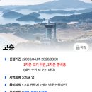 꽃길글램핑 | 고흥 신스글램핑 반값여행 숙소 키즈글램핑 이용방법 및 후기