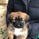 복운1리 이미지