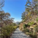 바람고개길 이미지