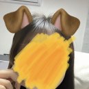 라미에르붙임머리