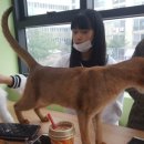 요술곰 동물원 이미지