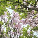 의령한우국밥 이미지