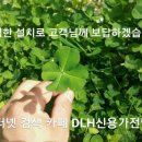 가좌세탁소 Daum카페