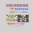 2026년 결혼예정 부산웨딩 잔여타임 할인 [대관,스드메] 이미지