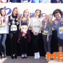 스텔라 이미지