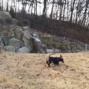 박순호의 아이슬란드 이미지