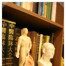 나비에스한의원 이미지