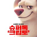 댕댕슈퍼 이미지