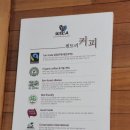 카페빈트리 | 안암역 공부하기 좋은 카페 &#34;빈트리 20025 고대점&#34; (유기농 커피, 수제청 판매)