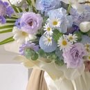 아인플로라 이미지