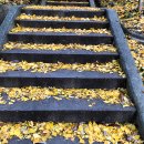 미암공원 이미지