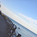 동해메밀촌 이미지