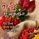 세상사는 맛 이미지