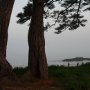 동호모텔 Daum카페