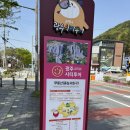 무등산 중머리재 도전기!증심사 주차 입구에서 커피까지