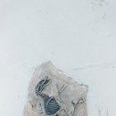 소바우공원 이미지