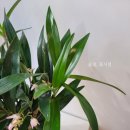 새서울DMC약국 이미지