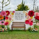 도란유치원 이미지