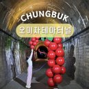 문경 오미자테마터널 | 경북 실내 가볼만한곳 가족여행 문경 오미자테마터널 문경투어패스