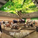 목포자연사박물관 이미지