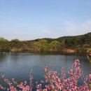 경산 반곡지카페 두낫디스터브 반곡지 후기