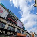 DVD시네마영화관 네이버블로그