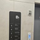 디어베이비 | 베이비파스텔 용인 본점에서 만삭촬영 한 솔직 후기(디에르 연계) 대가X 주차, 가격 등