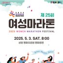 평화전자