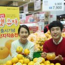 유자유통