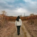 서탄면 행정복지센터 이미지