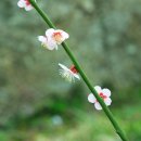 버스정류장 05-052 이미지