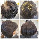 HAIR 덕분愛
