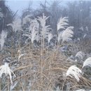 靑春-마음으로 하나 이미지