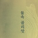 물 속 골리앗 이미지