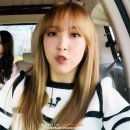 소풍라이브 이미지