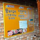 은성갈비 | [내돈내산] ⌜은성 숯불구이⌟ 왕 돼지갈비 전문점 후기