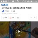 부산 고리 원자력 5,6호기 추가개발을 한다면 그에 대한 심각성 이미지