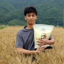 아쥬드블레 | [양평역 빵집] 아쥬드블레 밤식빵