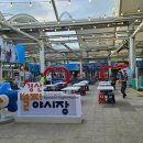 압량주단포목 이미지