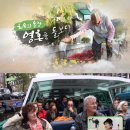 메디치유