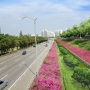 푸른자동차 이미지