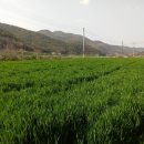 범골농장 이미지