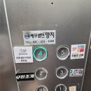 더브이PC | 2026 여름 트렌디하게 화성 부록 사진관에서 예쁜 가족사진 찍고 온 찐 후기 + 사진 예쁘게 찍는 방법