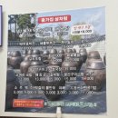 생선구이 섬 | 안산 반달섬 한식 맛집 종가집 민물새우매운탕 ㅣ생선구이 청국장 후기