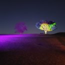 아라 일출 이미지