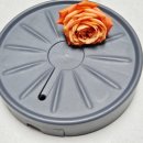 지안가구 | 거실 인테리어 실내가드닝 필수템 화분받침대바퀴 데이지안 이동식 화문받침대 실사용 후기