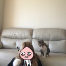 2017년 2월 일상
