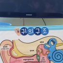 상상'귀의구조' 이미지