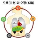 장부 오행설의 학술적 근거 이미지