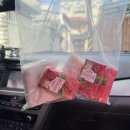 남해 봄 1박 2일 여행🚗 :: 다랭이맛집, 보통날 카페, 더파티 펜션 1편